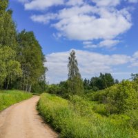 Тропинками лета... :: Владимир Жданов