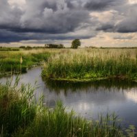 Вот и туча собралась :: Валерий VRN Вот и туча собралась :: Валерий VRN