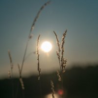 ... :: Николай Северный