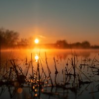 Утро :: Николай Северный