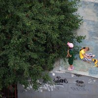 Вишня созрела :: daimos