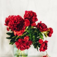 Завели пионы. :: Галина Левина