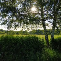 * * * :: Андрей Лукьянов