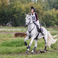 Кросс :: SanSan 