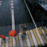 Крокус Принт Упак :: Сергей Золотавин Крокус Принт Упак :: Сергей Золотавин