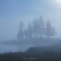 Туманное утро на Улаганском озере :: Вениамин Скородумов