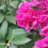 ,,, :: Сергей Тимоновский