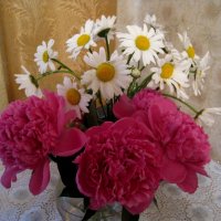 Букет лета :: Елена Семигина Букет лета :: Елена Семигина