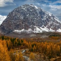 Алтайские горы :: Aleksey Afonin