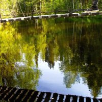 По мостику :: Тамара Вебер