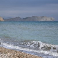 Природа Крыма :: Amazing Cosmea