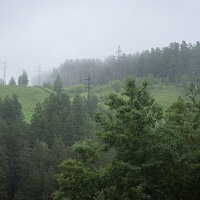 Утренний лес. :: Вадим Басов Утренний лес. :: Вадим Басов