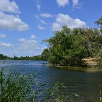 Лето. :: Виктор 