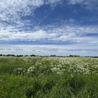 Такой сегодня день :: Дмитрий Иванов