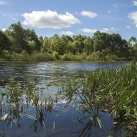 ... :: Елена Пономарева