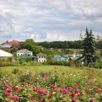 Ах, лето :: Марина Виноградова