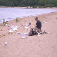 Кормление чаек :: Танзиля Завьялова