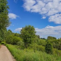 Тропинками лета... :: Владимир Жданов Тропинками лета... :: Владимир Жданов