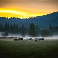 На вечерней зорьке. (Из жизни села). :: Георгий 