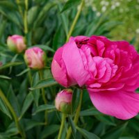 В ботаническом саду :: Ольга 