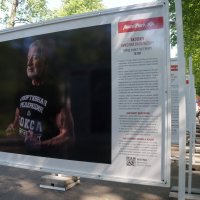 Акулич Николай Васильевич / Санкт-Петербург / 78 лет / строитель / мастер спорта по боксу :: zavitok *