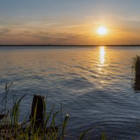 ** :: Виталий Емельянов