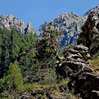 ПО ГОРАМ. :: Виктор Осипчук