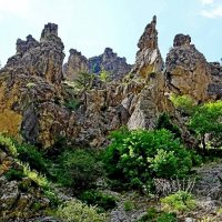 ПО ГОРАМ. :: Виктор Осипчук