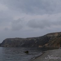 Природа Крыма :: Amazing Cosmea