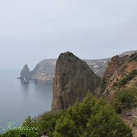 Природа Крыма :: Amazing Cosmea