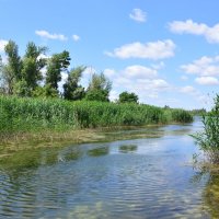 **** :: Виктор 