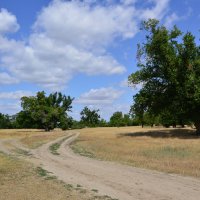 Мои дороги. :: Виктор 