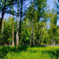 Пейзаж :: Галина Бобкина