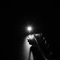 Пёрышко... :: Руслан 