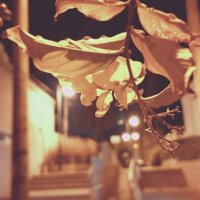 13  ОПЕН (179) :: OPEN WAYS ALL