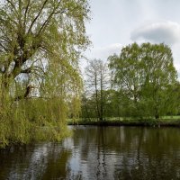 *** :: Николай Гирш *** :: Николай Гирш