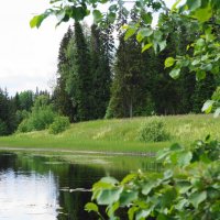 Старый пруд :: Сергей Ц