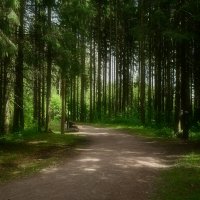 природа :: סּﮗRuslan HAIBIKE Sevastyanovסּﮗסּ