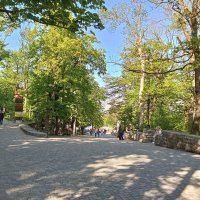 Аллеи Курортного парка :: Виктор 