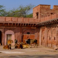 В храме Маккунд :: Георгий А