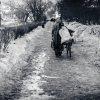 Жизнь на пенсии :: Владимир Калеев