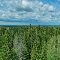 На отметке 296 метров :: Александр Филатов