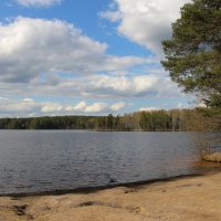 Комарово. Озеро Щучье :: Наталья Герасимова