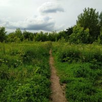 * * * :: Андрей Лукьянов