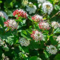 *** :: Виктор Иванович Чернюк *** :: Виктор Иванович Чернюк