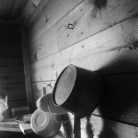 ... банный день ... :: Руслан 