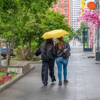 Дождливый июнь :: Валерий Иванович