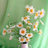 Ромашки - символ лета :: Любовь Сахарова