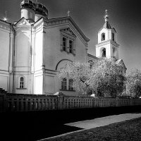 ЧБ фотография :: Роман Савоцкий