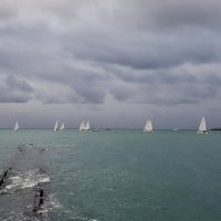 Регата (серия) :: arkadii 